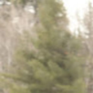 Meet your Posher, Cameron